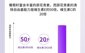 葡萄籽怎么选更靠谱？2026年内服抗氧化产品参考